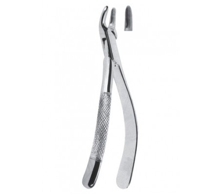 Extracting Forceps